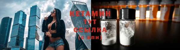 молекула духа Бородино