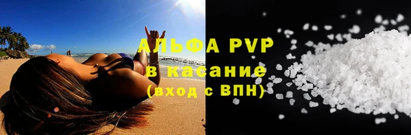 молекула духа Бородино