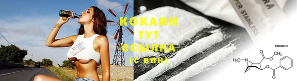 дживик Бронницы