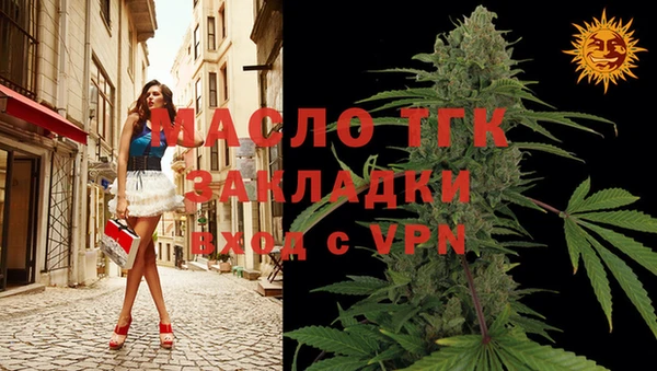 дживик Бронницы